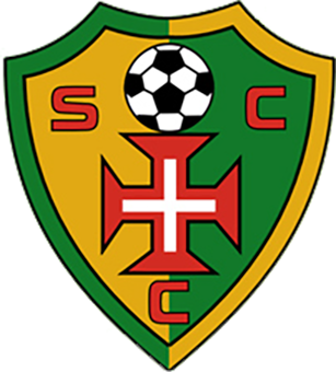 https://img.dbsslyxgs.com/img/football/team/c720ce34a8dbdda00e58a8ade2358911.png